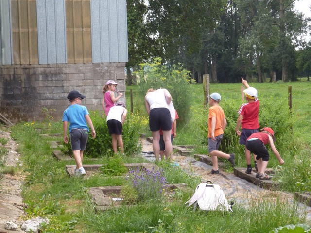 accueil a la ferme picardie